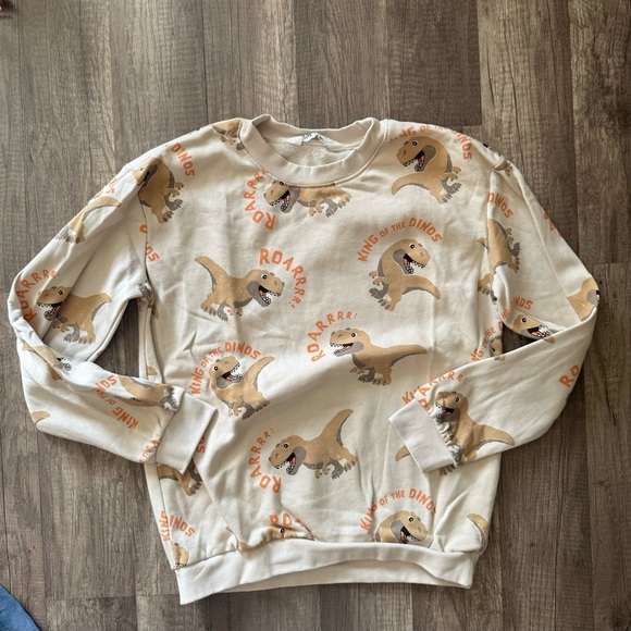 Bundle of h&m boy sweater and sweatshirt - Picture 6 of 8